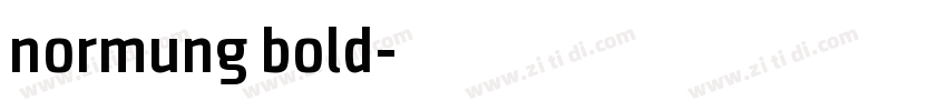normung bold字体转换